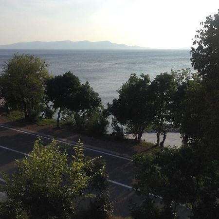 Apartment Marina Senj Senj  Esterno foto